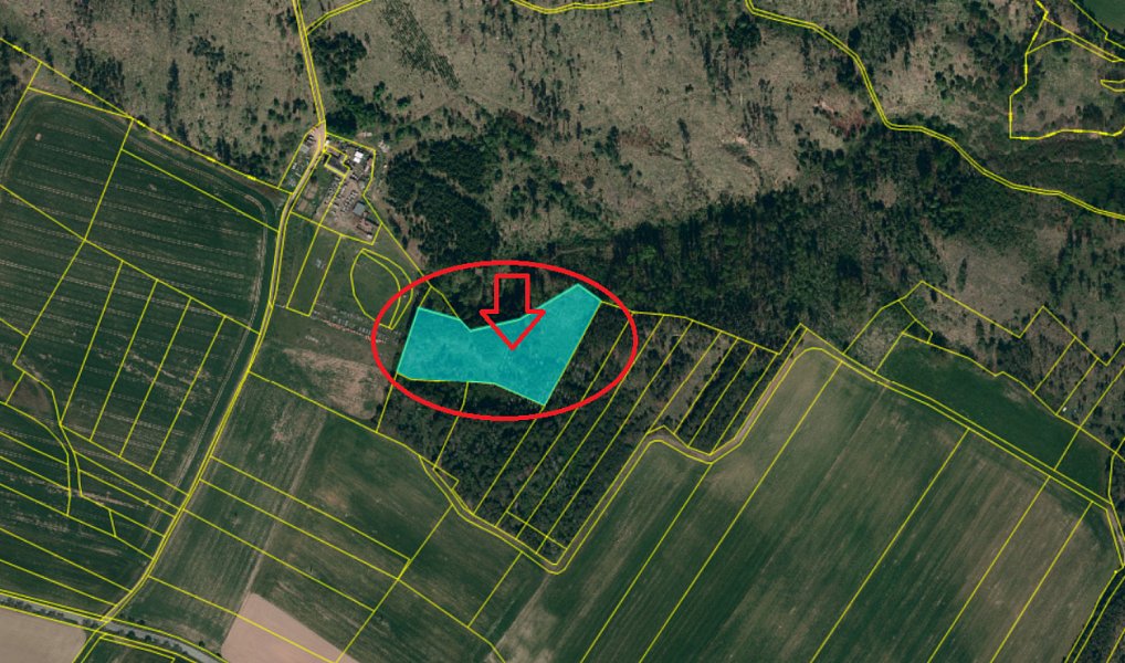 Prodej lesa 9 270 m², Zahrádka – náhled fotky 2