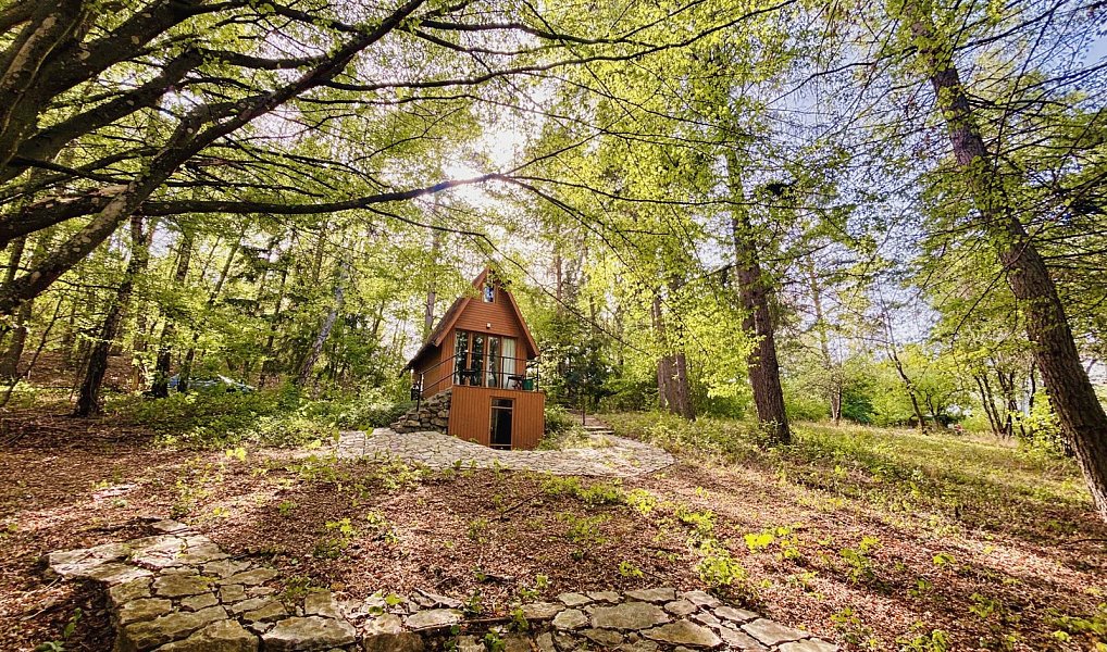 Prodej chaty/chalupy 32 m² s pozemkem 16 m², Doubravník – náhled fotky 2
