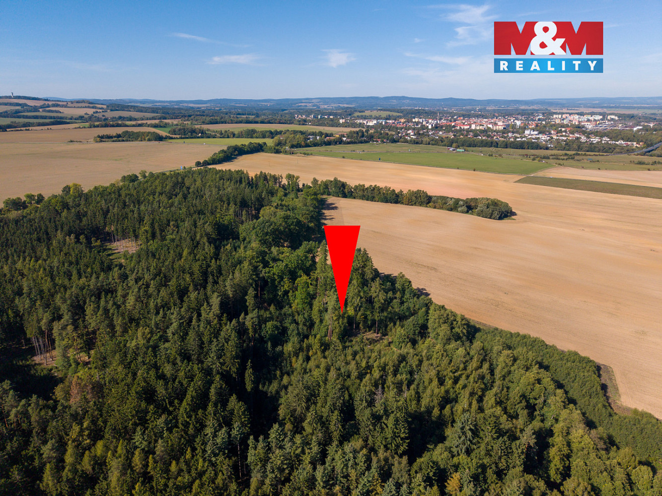 Prodej lesa 1 757 m² — photo 4