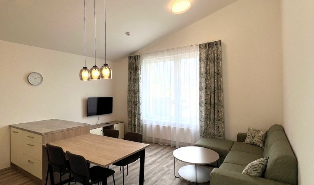 Pronájem bytu 2+kk 55 m², Český Krumlov – náhled fotky 3