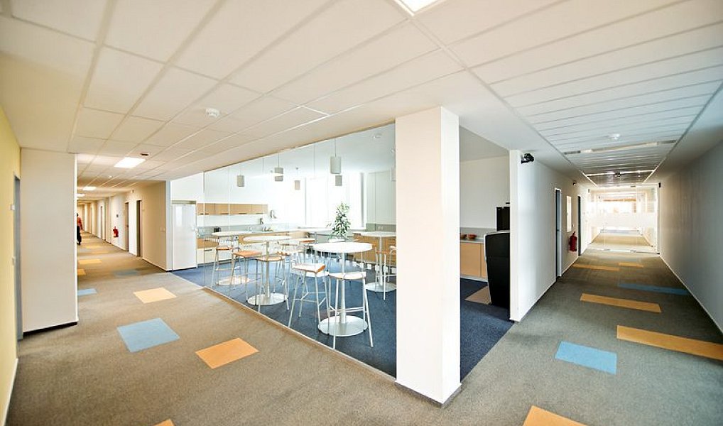 Pronájem kanceláře 250 m², Horoměřice – náhled fotky 6