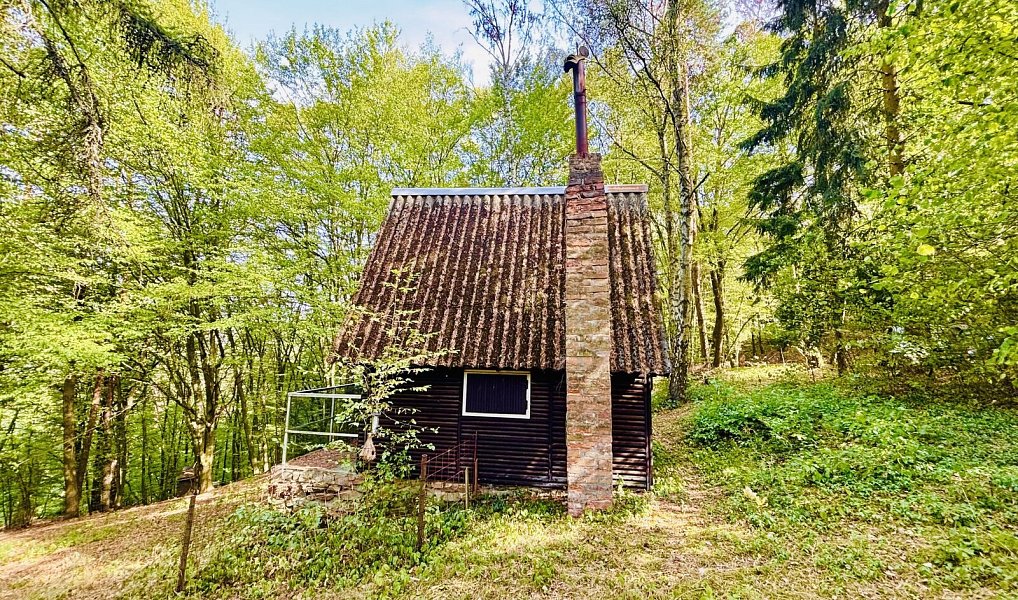 Prodej chaty/chalupy 32 m² s pozemkem 16 m², Doubravník – náhled fotky 3