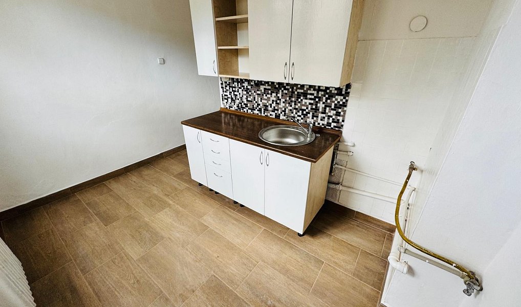 Pronájem bytu 1+1 40 m², Bukovany – náhled fotky 2