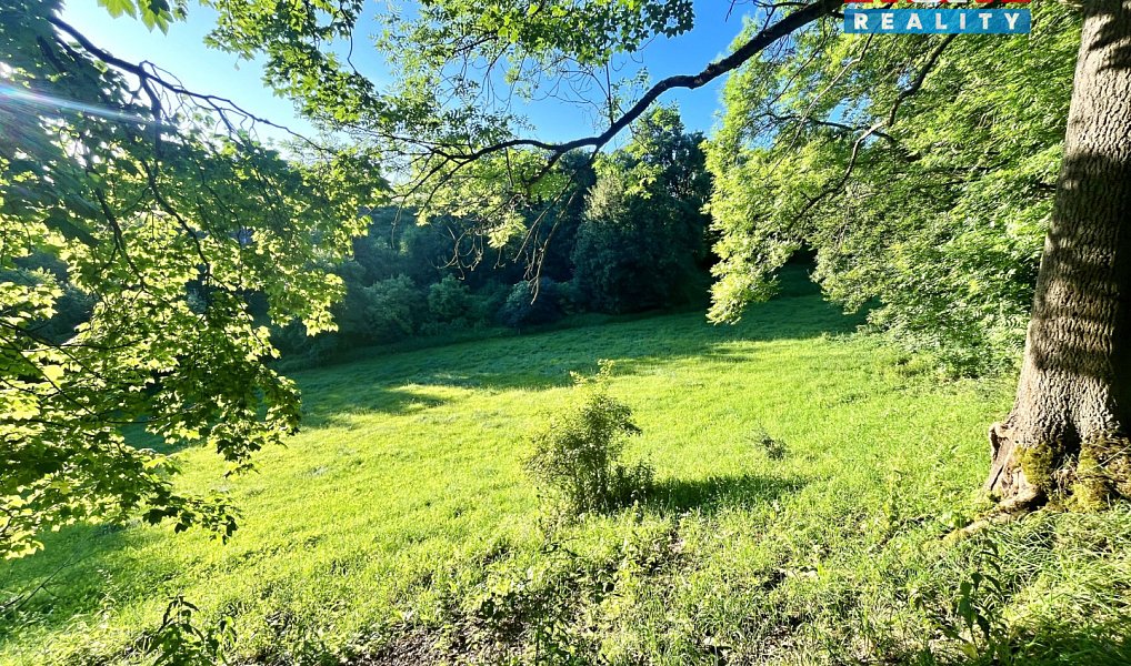 Prodej louky 5 449 m², Teplice nad Metují – náhled fotky 13
