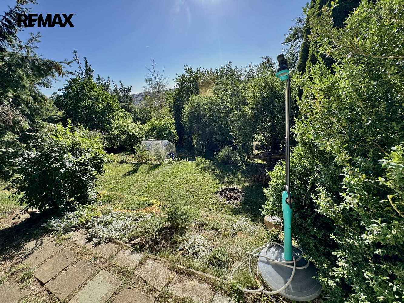 Prodej zahrady 550 m² – fotografie 5