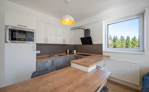 Prodej bytu 2+kk 53 m², Loučná pod Klínovcem - Loučná, okres Chomutov