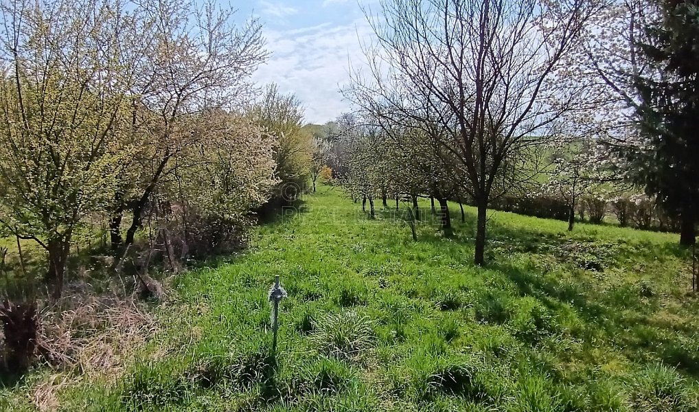 Prodej zahrady 1 872 m², Soběchleby – náhled fotky 15
