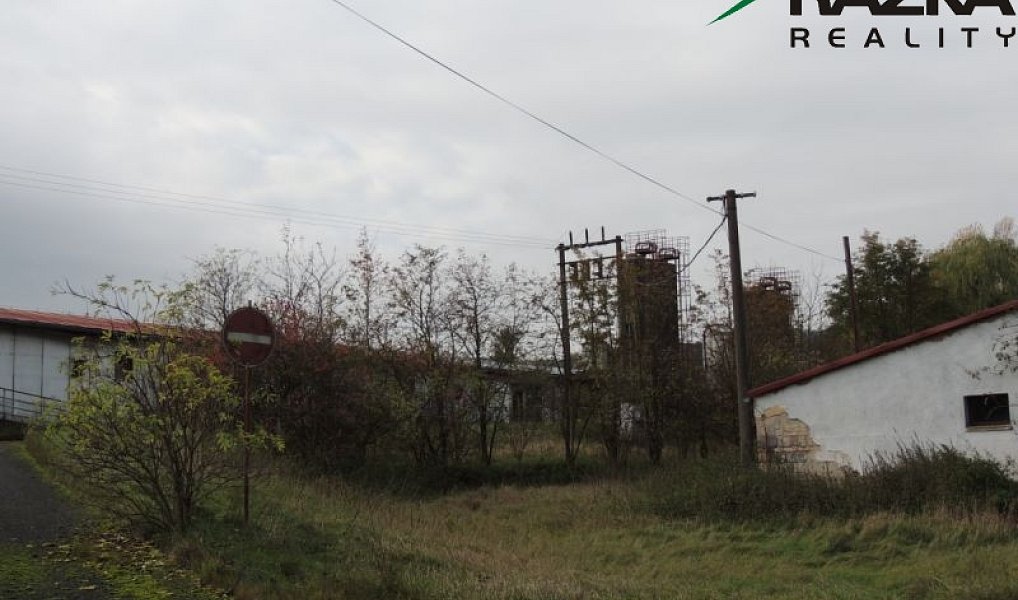 Prodej zemědělského objektu 5 633 m², Přimda – náhled fotky 6