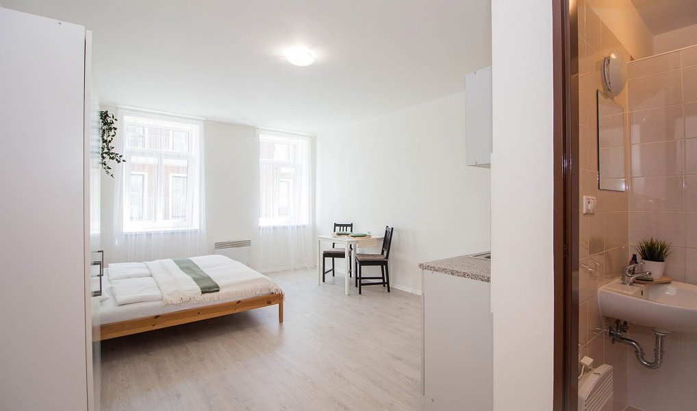 Pronájem bytu 1+kk 25 m², Brno – náhled fotky 3