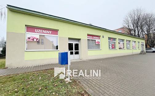 Pronájem obchodních prostor 96 m², Na Hraničkách, Vyškov - Nosálovice