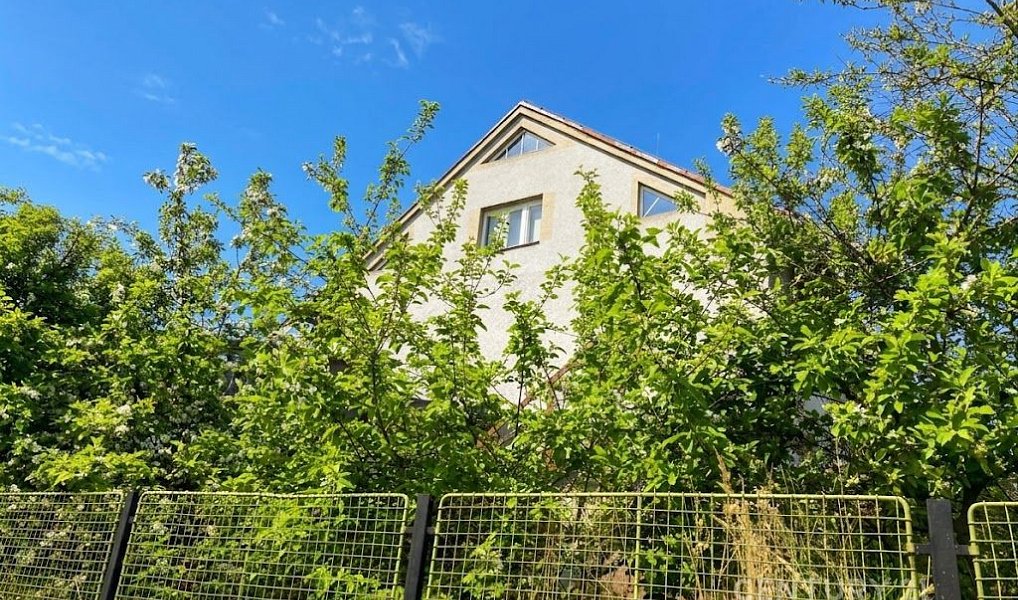 Prodej komerčního objektu (jiného typu) 500 m², Košetice – náhled fotky 7