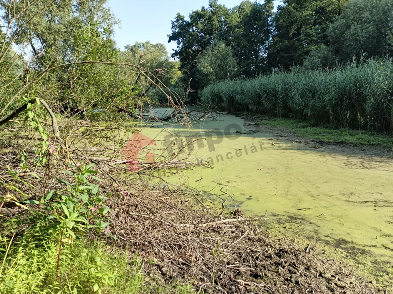Prodej vodní plochy 23 278 m² – fotografie 2