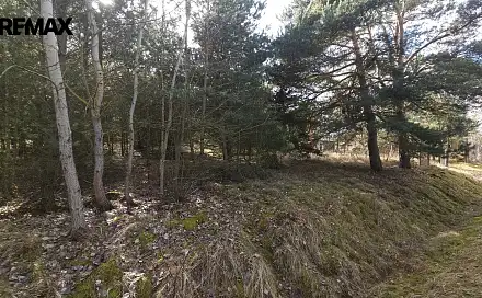 Prodej stavebního pozemku 1 249 m², Olešná, okres Písek