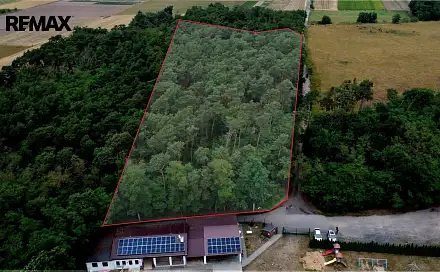 Prodej lesa 16 110 m², Terezín, okres Litoměřice