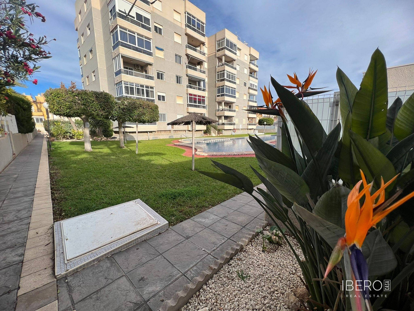 Pis 3+kk – Torrevieja, Torre del Moro, Cabo Cervera-Playa la Mata - Vista 4