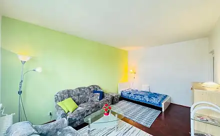 Pronájem bytu 1+1 37 m²