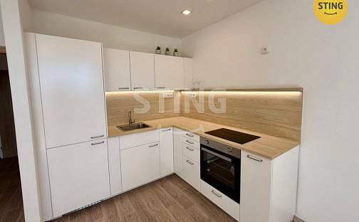 Pronájem bytu 1+kk 27 m², Hasičská, Frýdek-Místek - Frýdek