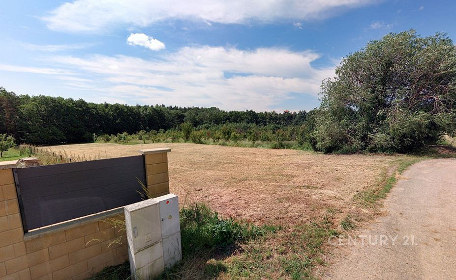 Prodej stavebního pozemku 3 256 m² – fotografie 5