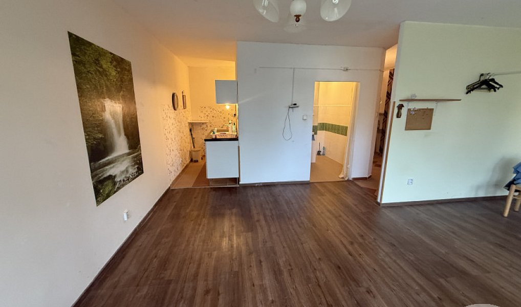 Prodej bytu 1+kk 44 m², Jílové u Prahy – náhled fotky 3