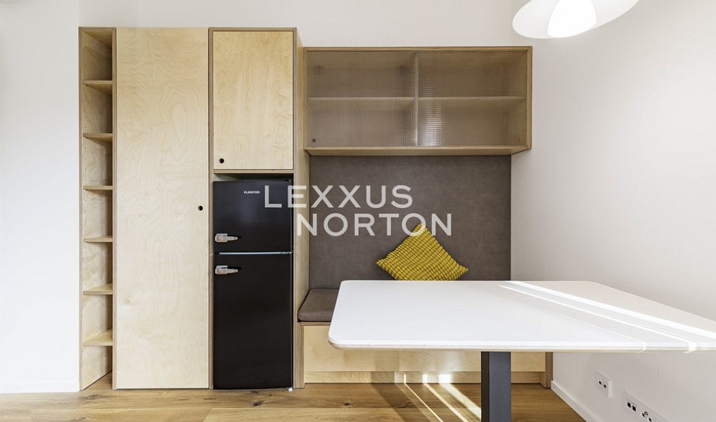 Pronájem bytu 1+kk 27 m², Praha – náhled fotky 6