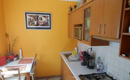 Pronájem bytu 1+1 41 m²