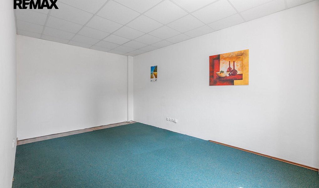 Prodej výrobních prostor 1 161 m², Nechanice – náhled fotky 29