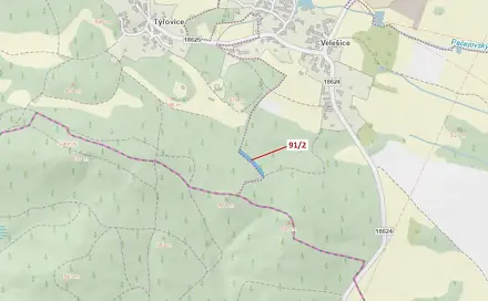 Dražba lesa 1 363 m², Pačejov