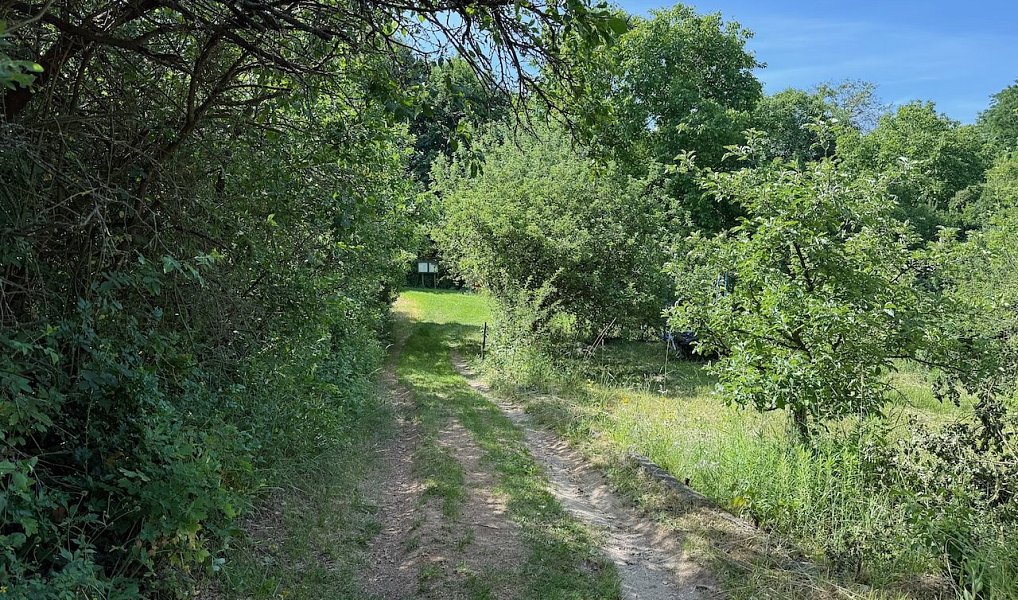 Prodej stavebního pozemku 475 m², Silůvky – náhled fotky 15