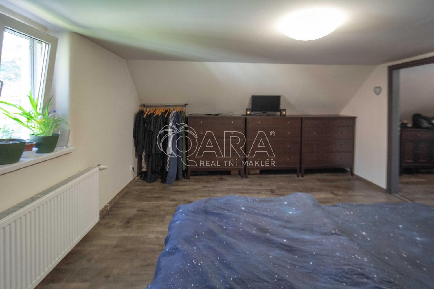 Fotka 8 z 29