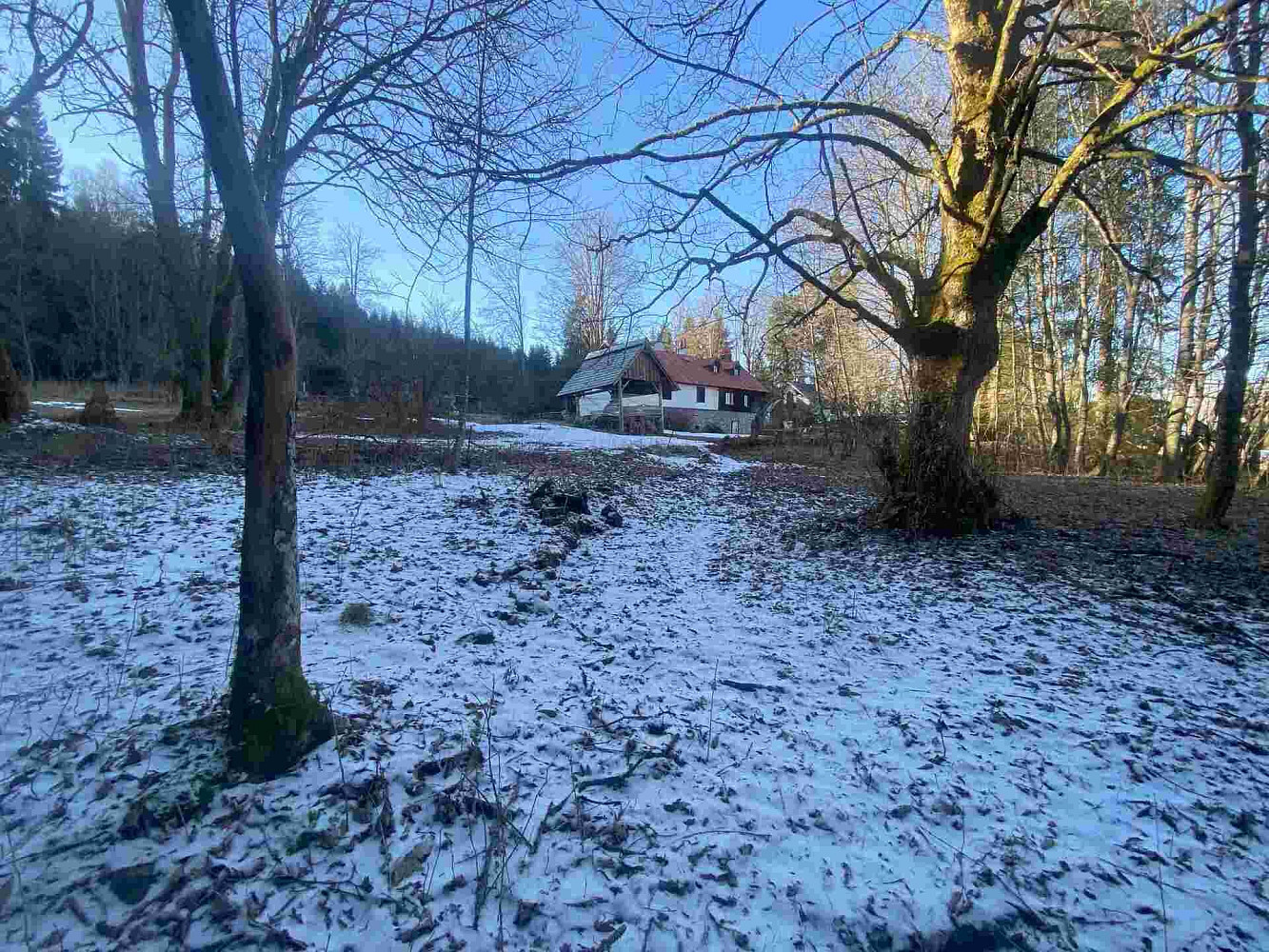 Prodej pozemku 2 391 m² – fotografie 4