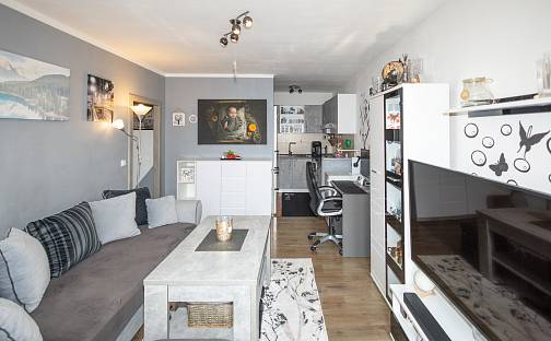 Prodej bytu 2+kk 45 m², 17. listopadu, Mladá Boleslav - Mladá Boleslav II