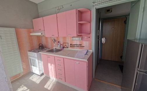 Pronájem bytu 1+1 40 m², Strakonice