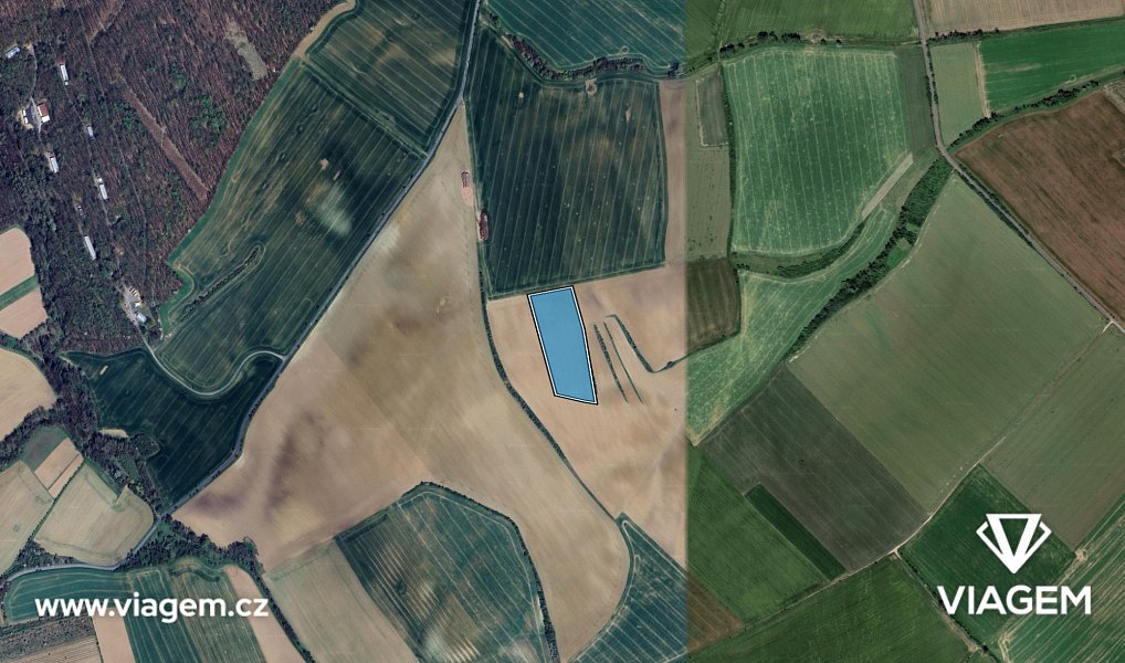 Prodej pole 24 985 m², Jarohněvice – náhled fotky 3
