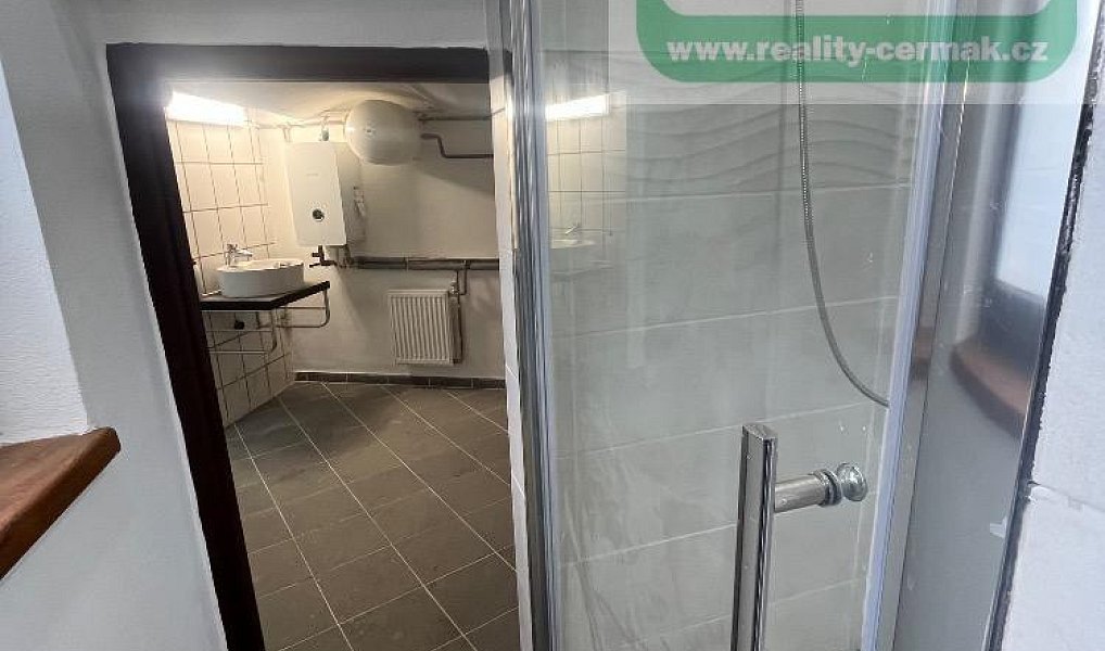 Pronájem domu 220 m² s pozemkem 240 m², Mířkov – náhled fotky 10