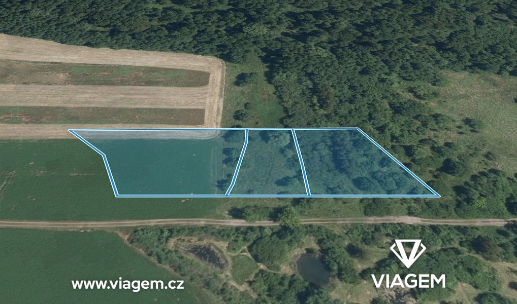 Prodej pole 5 166 m², Poděbrady – náhled fotky 2