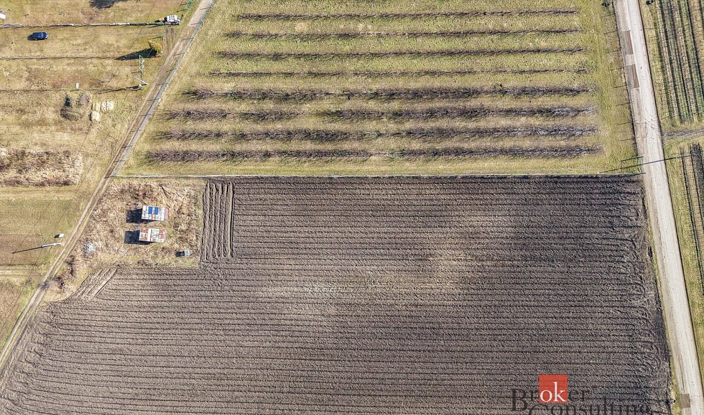 Prodej pozemku 2 791 m², Velké Bílovice – náhled fotky 6