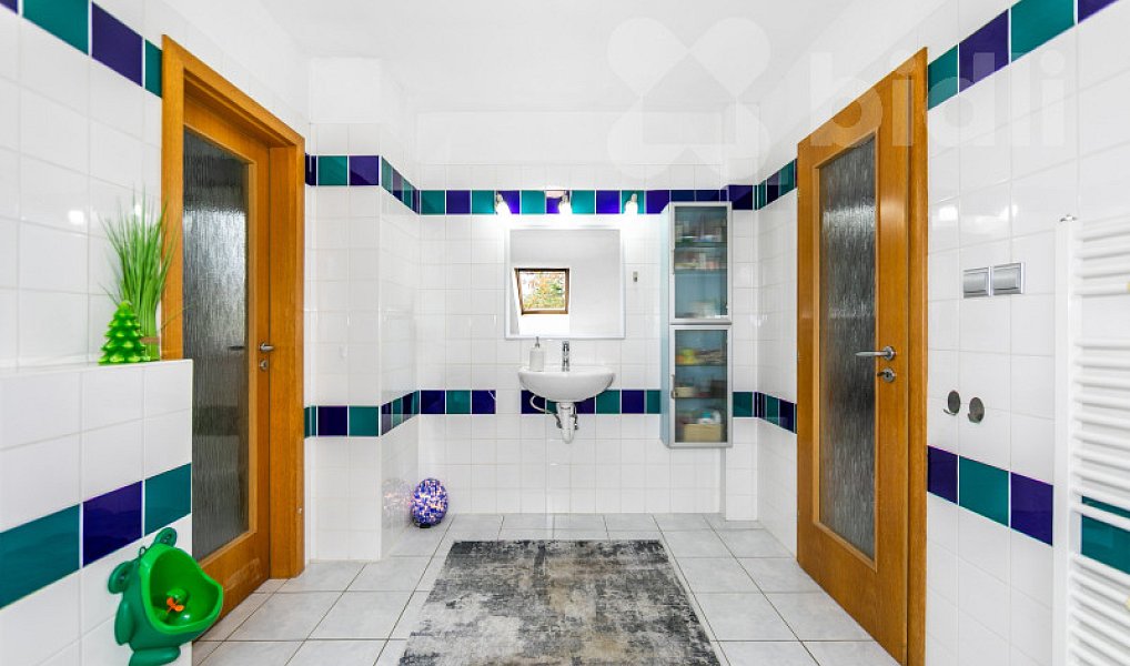 Prodej domu 233 m² s pozemkem 1 063 m², Letkov – náhled fotky 9