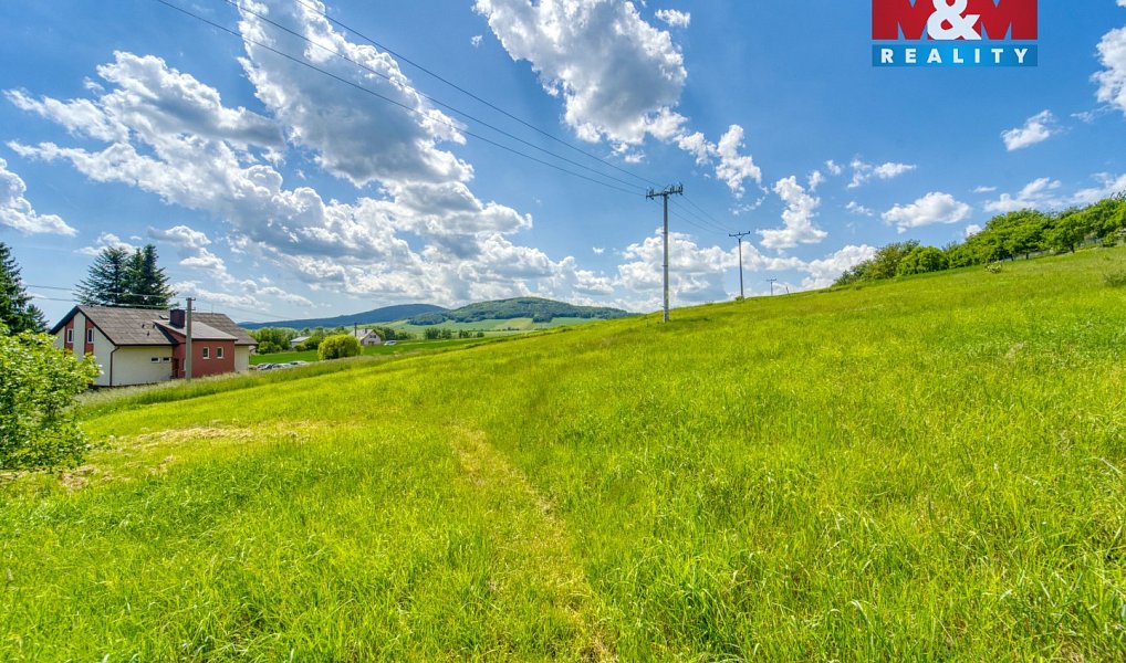 Prodej stavebního pozemku 4 041 m², Červené Poříčí – náhled fotky 2