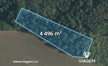 Prodej lesa 4 496 m², Sudovo Hlavno, okres Praha-východ