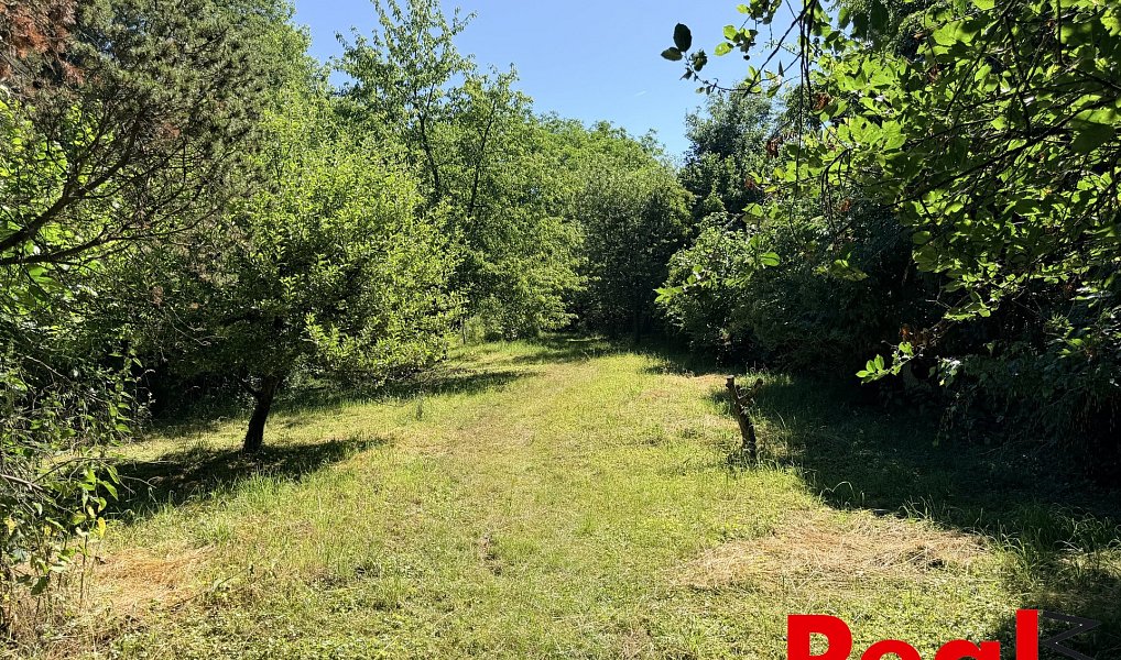 Prodej zahrady 2 459 m², Brno – náhled fotky 12