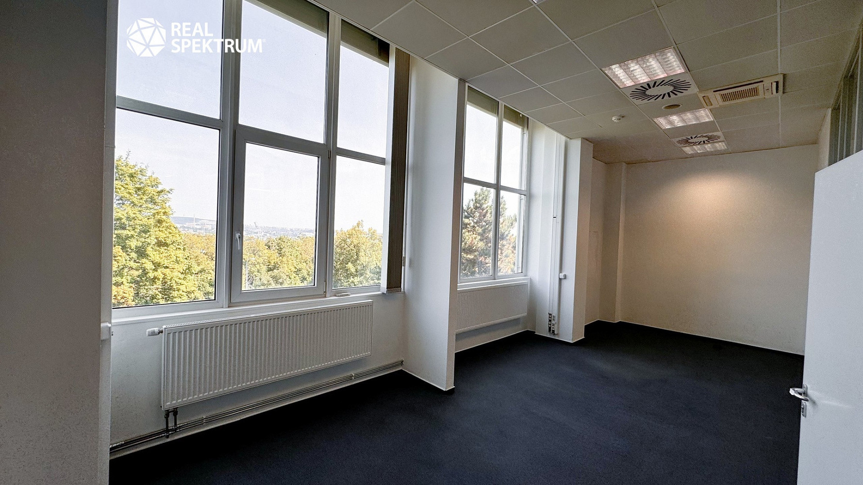 Pronájem kanceláře 313 m² – fotografie 2