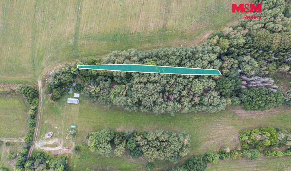 Prodej lesa 715 m², Rodná – náhled fotky 2