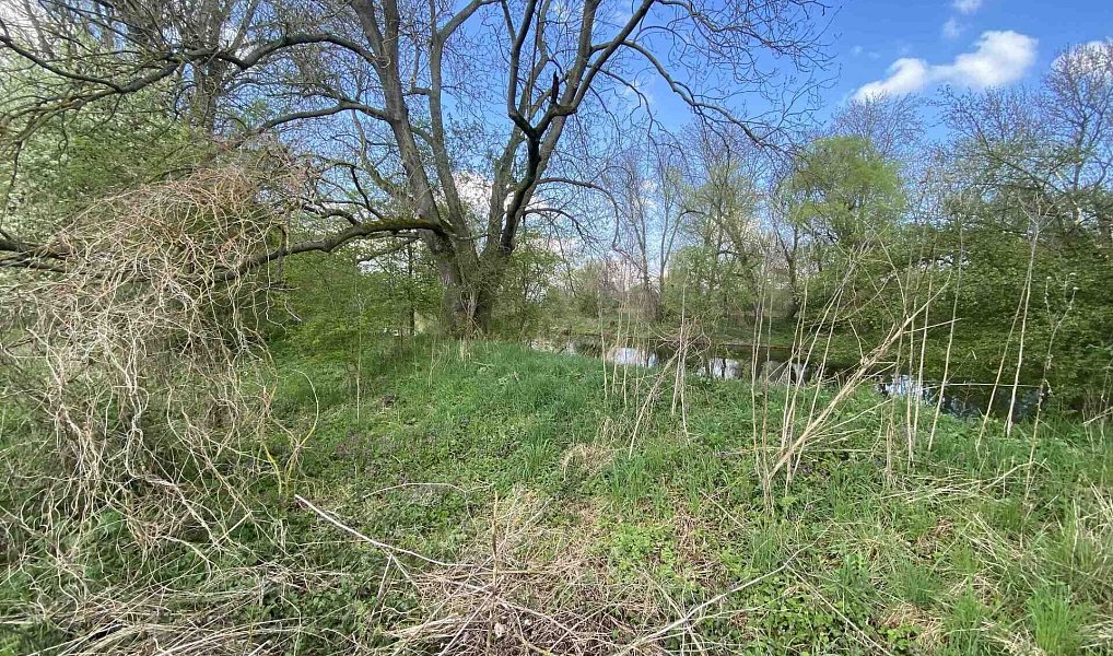 Prodej pozemku 621 m², Černčice – náhled fotky 2
