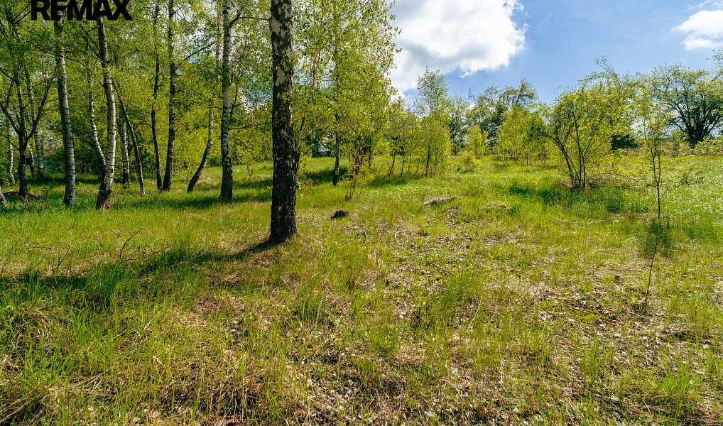 Prodej komerčního pozemku 28 310 m², Střítež – náhled fotky 20
