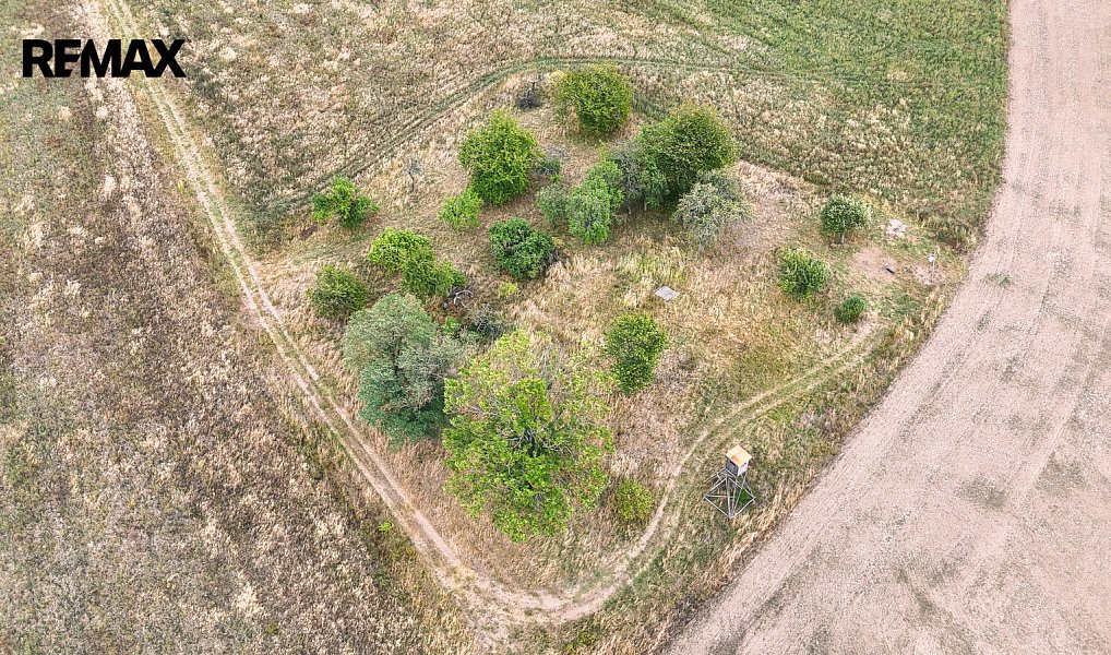 Prodej stavebního pozemku 3 633 m², Ošelín – náhled fotky 11