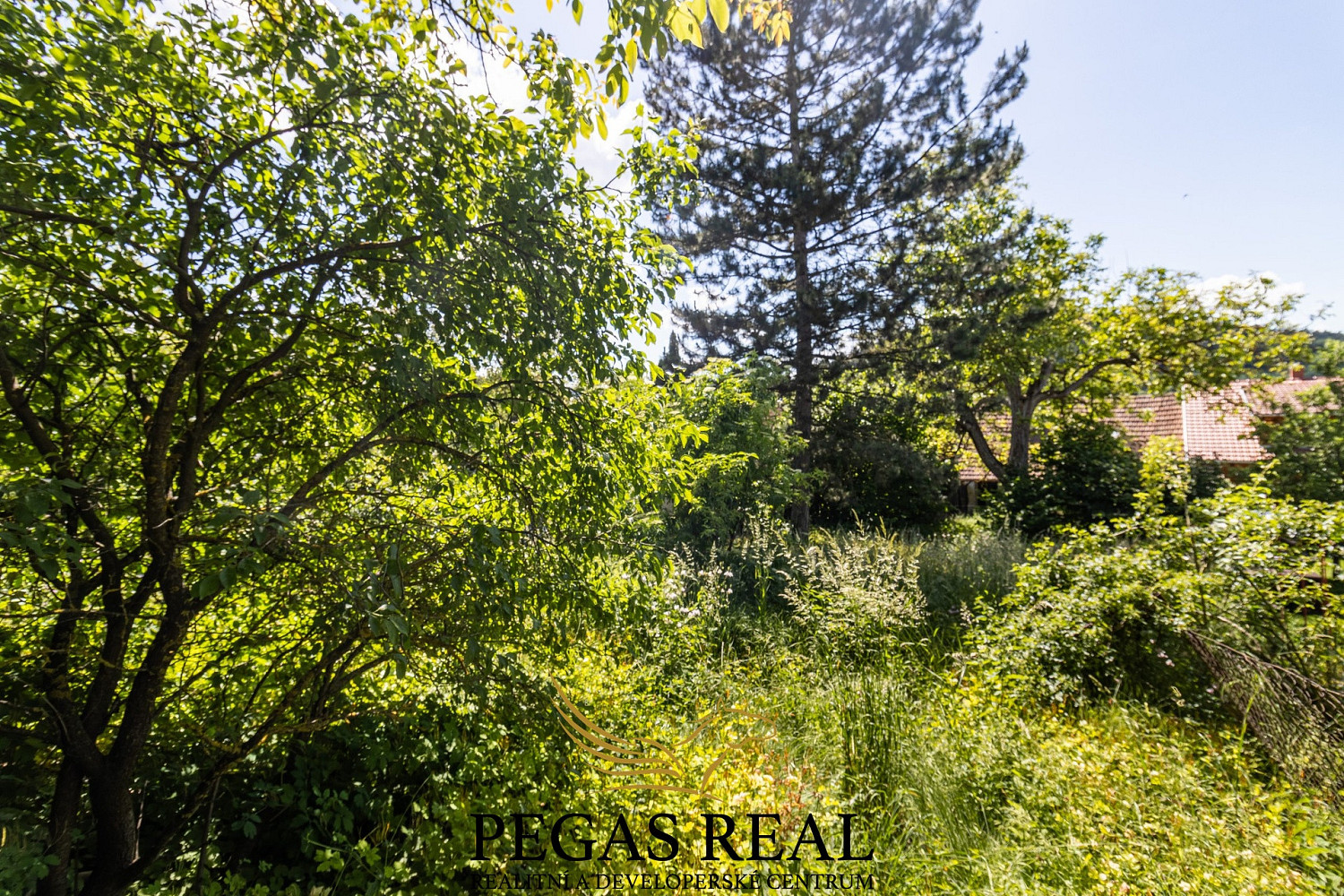 Prodej stavebního pozemku 472 m² – fotografie 3