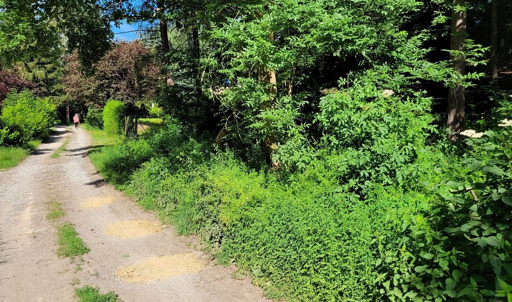 Prodej stavebního pozemku 1 246 m², Chyňava – náhled fotky 13