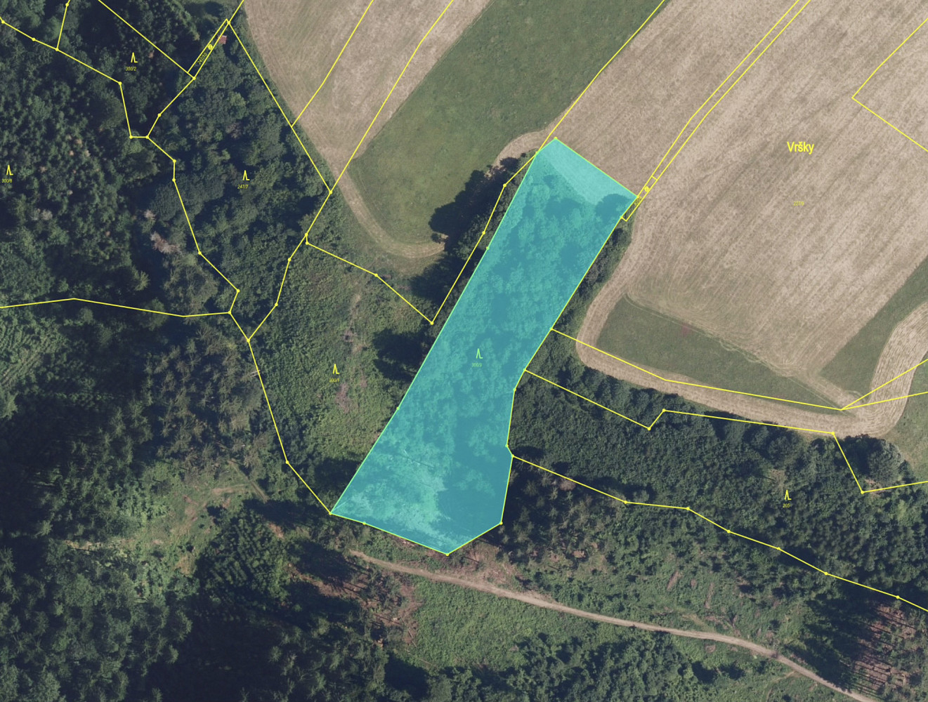 Prodej lesa 9 474 m²
