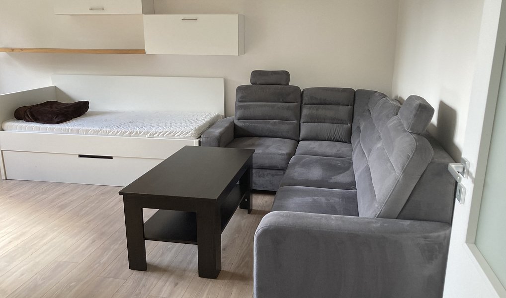 Pronájem bytu 1+1 40 m², Karviná – náhled fotky 3