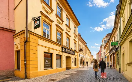 Prodej komerčního objektu (jiného typu) 499 m², Novobranská, Litoměřice - Litoměřice-Město